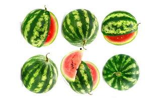 吃瓜网站无限观看,揭秘吃瓜网站无限观看的奥秘