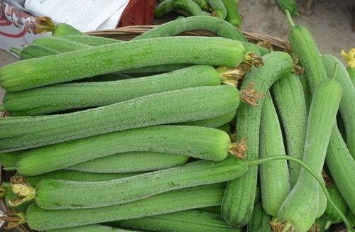 水瓜没人吃吗,鲜为人知的绿色佳肴，为何无人问津？