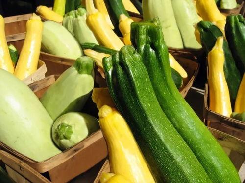 专吃瓜的昆虫,揭秘专吃瓜昆虫的神秘生活