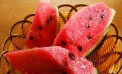 专吃瓜的昆虫,揭秘专吃瓜昆虫的神秘生活