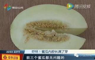 随机吃瓜12,揭秘娱乐圈背后的秘密与真相