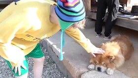 憨憨吃大瓜,趣味横生的欢乐时光