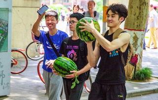 台湾大学吃瓜,揭秘校园里的“吃瓜”盛况