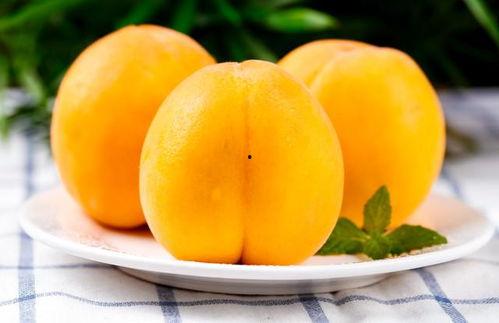 吃瓜黄桃,探寻吃瓜黄桃的独特魅力