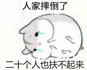 仓鼠吃瓜表情包,仓鼠吃瓜表情包的欢乐瞬间