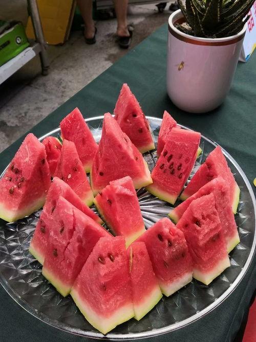 铜陵吃瓜大赛,夏日狂欢，瓜王争霸记