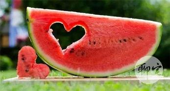 这瓜吃的,揭秘“这瓜吃的”背后的故事与魅力