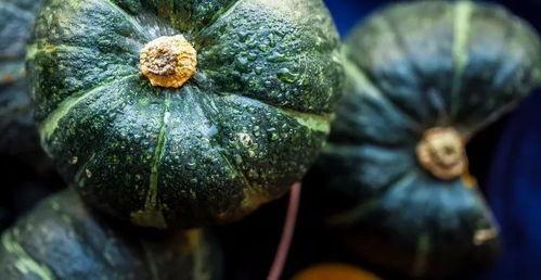 这瓜吃的,揭秘“这瓜吃的”背后的故事与魅力