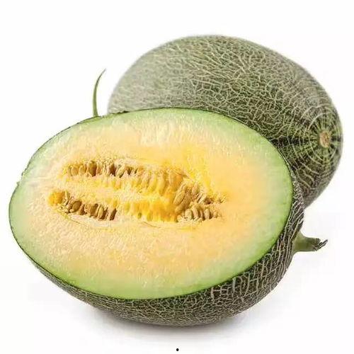 这瓜吃的,揭秘“这瓜吃的”背后的故事与魅力