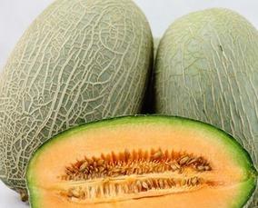 宝宝吃哈密瓜吐,揭秘原因及应对策略