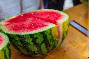 云南各高校吃瓜视频,校园美食视频走红网络