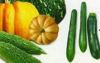 gina吃瓜,揭秘娱乐圈幕后故事