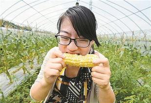 吃瓜的苞米姐姐,揭秘娱乐圈那些事儿