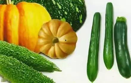 航运吃瓜,揭秘航运界的“吃瓜”现象