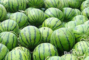 吃瓜多会上火吗,揭秘夏季饮食健康之谜