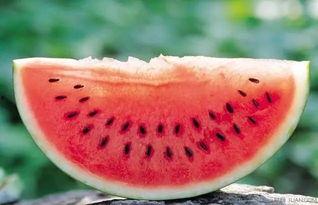 泰州近期吃瓜事件,揭秘近期网络热议事件背后的真相