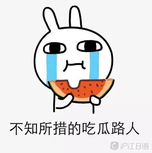 吃瓜提莫,揭秘网络红人的成长之路