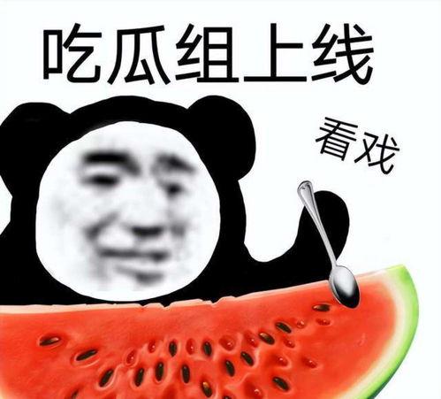 带你吃瓜停更,揭秘停更背后的故事