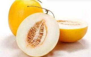 几个月吃伊丽莎白瓜