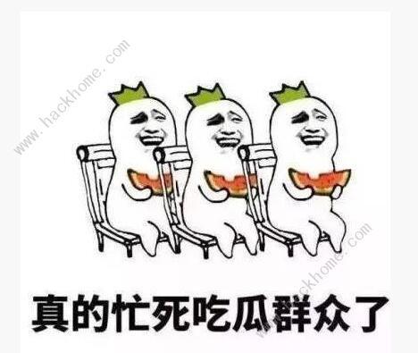 吃瓜表情汇总大全