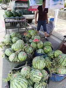 无锡南洋吃瓜事件,校园风波背后的真相与反思