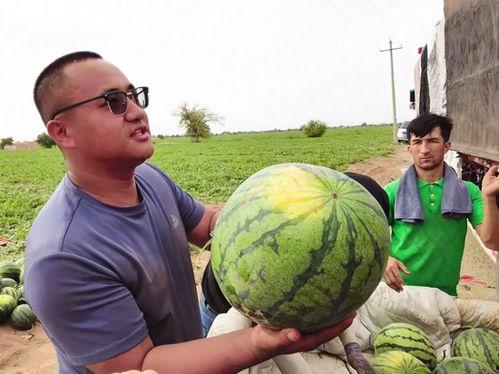 别样吃瓜装瞎,揭秘网络迷雾中的真实故事