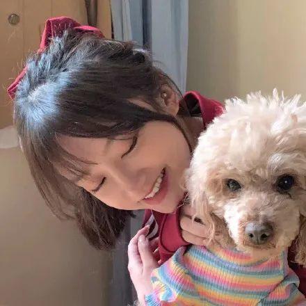 单身狗吃瓜背面的头像,揭秘娱乐圈背后的秘密