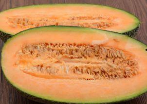 名人吃哈密瓜,哈密瓜美食之旅