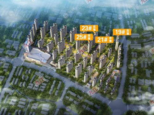 柴桑区吃瓜,瓜果飘香，品味夏日田园风情