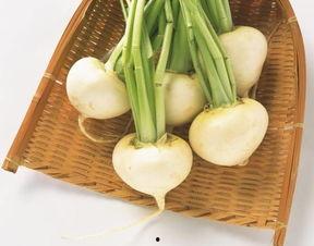 冬吃萝卜夏吃瓜还是吃姜,冬萝卜夏姜瓜，养生之道尽在其中