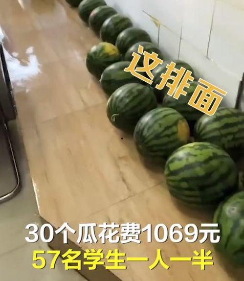 正能量吃瓜导航,揭秘吃瓜导航背后的精彩世界