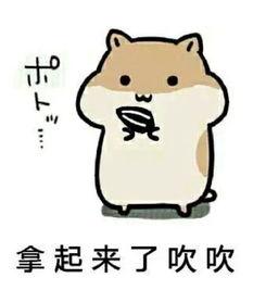 仓鼠吃瓜的表情包,萌态可掬，瓜香四溢